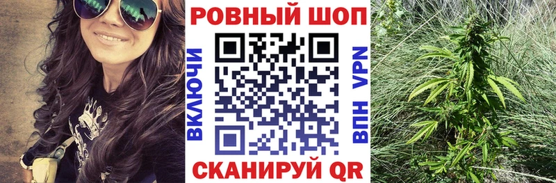 ГАШ Тетюши