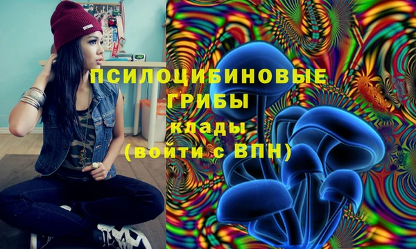 mdma Михайловск