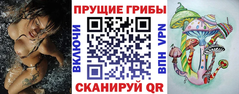 Псилоцибиновые грибы Psilocybine cubensis  цены наркотик  Тетюши 